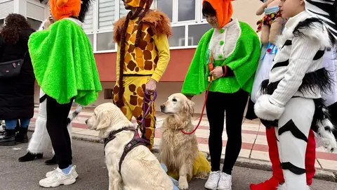 Fantasía y humor protagonizan el carnaval de San Andrés. Foto: Ayto. San Andrés.