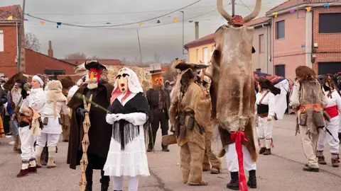 Velilla de la Reina volvió a convertirse este domingo en epicentro del Carnaval leonés con la celebración de su tradicional Antruejo, una cita que reunió a centenares de personas en sus calles y que reafirma su condición de Fiesta de Interés Turístico Provincial. Fotografías de Jesús GG