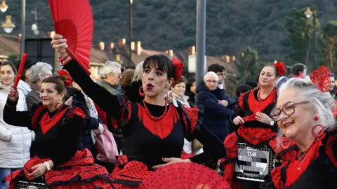 Ponferrada celebró su tradicional desfile de Carnaval con la participación de 25 propuestas entre comparsas, pequeños grupos, parejas e individuales, en una edición que volvió a congregar a más de 300 personas en las calles del centro ante miles de espectadores. Fotos: César Sánchez