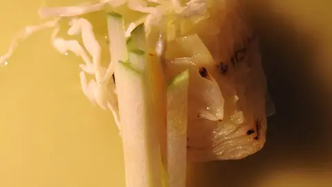 Nos adentramos en la pionera experiencia etnogastronómica de José Gordón en la localidad leonesa de Jiménez de Jamuz 48 horas antes de que abra sus puertas a comensales de todo el mundo. Foto: A.F.R.