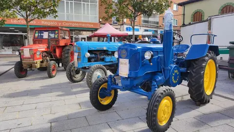 La localidad de Valencia de Don Juan ha inaugurado este jueves una nueva edición de su histórica Feria de Febrero, que celebra su 105º aniversario consolidada como uno de los grandes encuentros agrarios y comerciales del noroeste peninsular. El recinto ferial abrió sus puertas a primera hora con una notable afluencia de público en las primeras horas y la presencia de numerosas autoridades autonómicas, provinciales y comarcales. Fotos: Miguel Ángel García