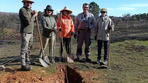 La Asociación Tierras Quemadas ha celebrado su cuarta facendera en el valle del Eria, en Felechares y Pinilla de la Valdería, con plantación de más de mil castaños, robles y encinas. Fotos: Tierra Quemada