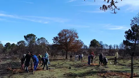 La Asociación Tierras Quemadas ha celebrado su cuarta facendera en el valle del Eria, en Felechares y Pinilla de la Valdería, con plantación de más de mil castaños, robles y encinas. Fotos: Tierra Quemada