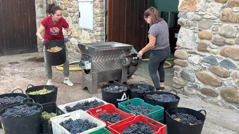 'M', un vino elaborado con uvas de parcelas de 22 mujeres del Bierzo. Foto: Ical.