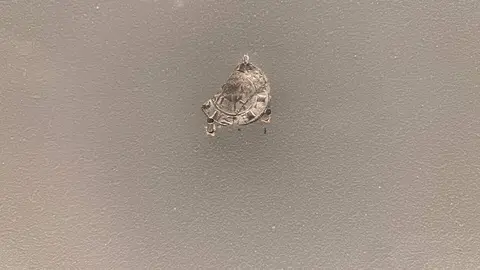 La exposición 'Reina ella. Urraca I de León' podrá visitarse en el Museo de León hasta el 7 de junio. Fotos: A.F.R.