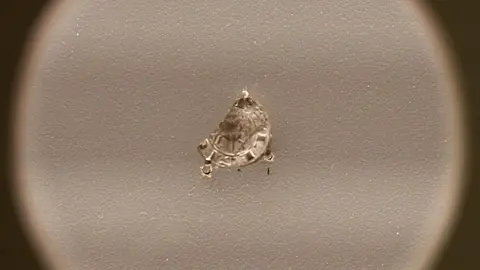 La exposición 'Reina ella. Urraca I de León' podrá visitarse en el Museo de León hasta el 7 de junio. Fotos: Campillo.