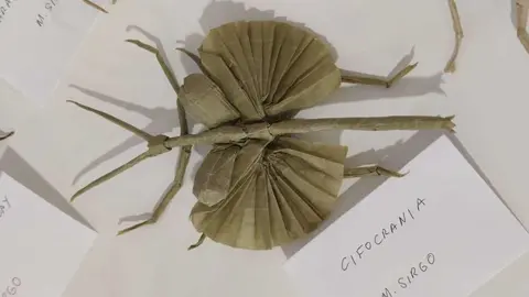 La ciudad de León acoge desde este jueves la vigésimo séptima Convención Internacional organizada por la Asociación Española de Papiroflexia, un encuentro que congrega a cerca de 150 aficionados y especialistas de esta disciplina artística basada en la transformación del papel mediante pliegues.