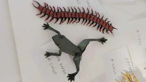 La ciudad de León acoge desde este jueves la vigésimo séptima Convención Internacional organizada por la Asociación Española de Papiroflexia, un encuentro que congrega a cerca de 150 aficionados y especialistas de esta disciplina artística basada en la transformación del papel mediante pliegues.