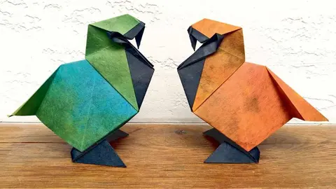 La ciudad de León acoge desde este jueves la vigésimo séptima Convención Internacional organizada por la Asociación Española de Papiroflexia, un encuentro que congrega a cerca de 150 aficionados y especialistas de esta disciplina artística basada en la transformación del papel mediante pliegues.