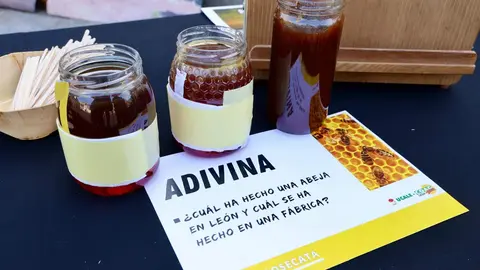 La Unión de Campesinos de León, Ucale Coag celebró este viernes un acto en la capital leonesa para dar visibilidad a al apicultura local y denunciar sospechas de fraude en el sector en el que repartió dos mil bote de miel entre los viandantes. Foto: Campillo