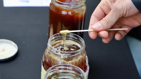 La Unión de Campesinos de León, Ucale Coag celebró este viernes un acto en la capital leonesa para dar visibilidad a al apicultura local y denunciar sospechas de fraude en el sector en el que repartió dos mil bote de miel entre los viandantes. Foto: Campillo
