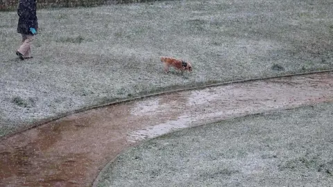 La nieve regresa a la capital leonesa. Foto: Campillo