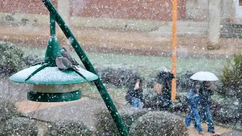 La nieve regresa a la capital leonesa. Foto: Campillo