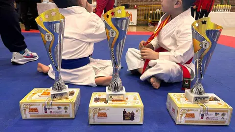 Más de 330 karatecas de las categorías infantil, máster y sénior participaron este fin de semana en la tercera y definitiva fase de la Liga Regional de Karate, una cita que reunió a deportistas de toda la comunidad en las modalidades de kata y kumite.