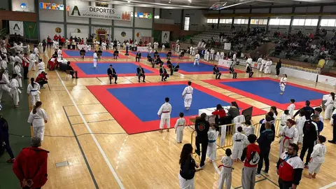 Más de 330 karatecas de las categorías infantil, máster y sénior participaron este fin de semana en la tercera y definitiva fase de la Liga Regional de Karate, una cita que reunió a deportistas de toda la comunidad en las modalidades de kata y kumite.