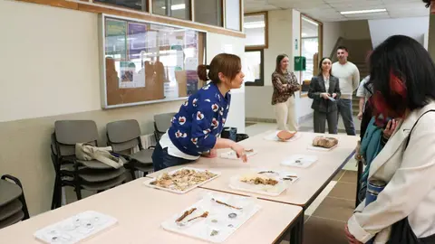 Jornada y taller práctico sobre las excavaciones en el yacimiento de Puente Castro.