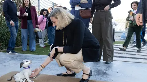 El proyecto FP STEAM Mujer reúne en Valladolid a estudiantes y profesionales para acercar la Formación Profesional a las oportunidades del ámbito científico-tecnológico y fomentar el talento joven, especialmente femenino, en sectores con gran proyección.