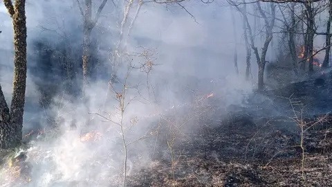 Incendio en el municipio de Igüeña. Foto: Ical.
