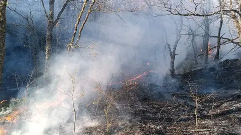 Incendio en el municipio de Igüeña. Foto: Ical.