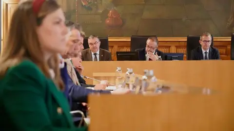 La Diputación de León celebra pleno ordinario. Foto: Campillo.