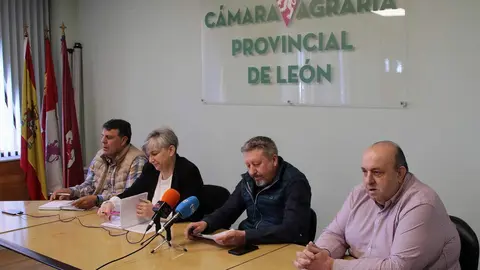 Comparecencia de las organizaciones agrarias leonesas para hablar de la renovación de contratos con la industria lechera. Foto: Peio García.