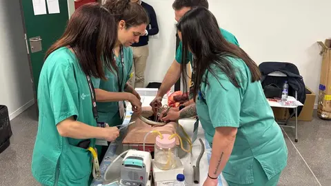 La ciudad de León ha vuelto a situarse en el mapa nacional de la formación sanitaria con la celebración del 24º Curso de Cirugía Vascular y Endovascular en modelos animales, que ha finalizado este 27 de marzo tras dos intensas jornadas.