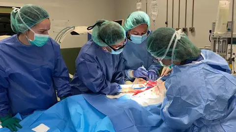 La ciudad de León ha vuelto a situarse en el mapa nacional de la formación sanitaria con la celebración del 24º Curso de Cirugía Vascular y Endovascular en modelos animales, que ha finalizado este 27 de marzo tras dos intensas jornadas.