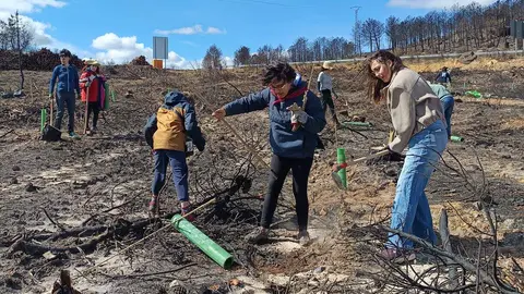La Asociación Tierras Quemadas de La Bañeza y Comarca organizó el pasado sábado 29 de marzo su quinta facendera en el valle del Eria, a la altura de Pinilla de la Valdería.