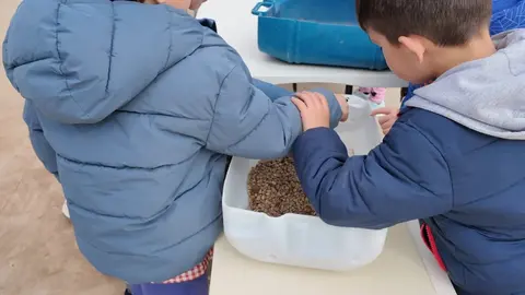 Alumnos del CEIP Teodoro Martínez Gadañón participan en la plantación del semillero dentro de un proyecto educativo y social que fomenta la colaboración y el aprendizaje compartido.