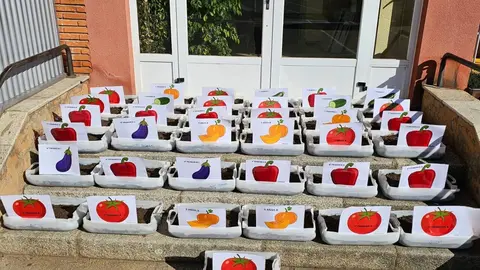 Alumnos del CEIP Teodoro Martínez Gadañón participan en la plantación del semillero dentro de un proyecto educativo y social que fomenta la colaboración y el aprendizaje compartido.