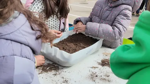 Alumnos del CEIP Teodoro Martínez Gadañón participan en la plantación del semillero dentro de un proyecto educativo y social que fomenta la colaboración y el aprendizaje compartido.