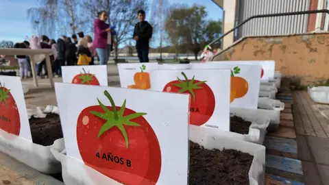 Alumnos del CEIP Teodoro Martínez Gadañón participan en la plantación del semillero dentro de un proyecto educativo y social que fomenta la colaboración y el aprendizaje compartido.