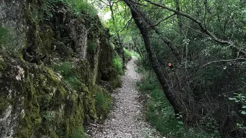 En Oceja de Valdellorma, la conocida Senda del Mamut ha evolucionado desde su inicio en 2022 como proyecto vecinal hasta convertirse en “una de las propuestas de naturaleza más singulares del entorno”, según sus organizadores.