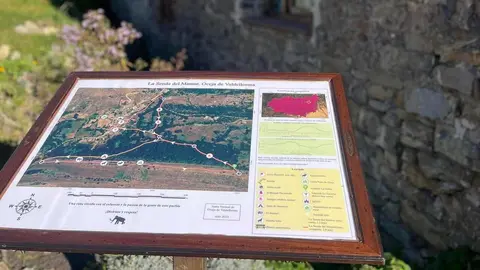 En Oceja de Valdellorma, la conocida Senda del Mamut ha evolucionado desde su inicio en 2022 como proyecto vecinal hasta convertirse en “una de las propuestas de naturaleza más singulares del entorno”, según sus organizadores.