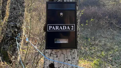 En Oceja de Valdellorma, la conocida Senda del Mamut ha evolucionado desde su inicio en 2022 como proyecto vecinal hasta convertirse en “una de las propuestas de naturaleza más singulares del entorno”, según sus organizadores.