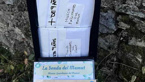 En Oceja de Valdellorma, la conocida Senda del Mamut ha evolucionado desde su inicio en 2022 como proyecto vecinal hasta convertirse en “una de las propuestas de naturaleza más singulares del entorno”, según sus organizadores.