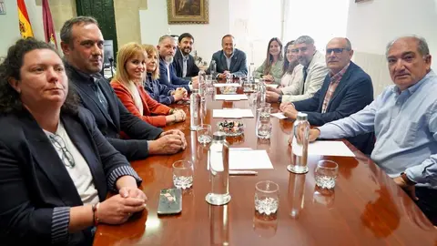 El secretario de Política Municipal del PSOE de Castilla y León, Fran Díaz, y el presidente de la Diputación de León, Gerardo Álvarez Courel, mantienen un encuentro de trabajo con el Grupo Socialista. La vicesecretaria general del PSOECyL y vicepresidenta segunda de las Cortes, Nuria Rubio, también asiste al encuentro. Foto: Campillo.