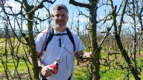 Poda especializada de frutales en el Bierzo. Foto: César Sánchez.
