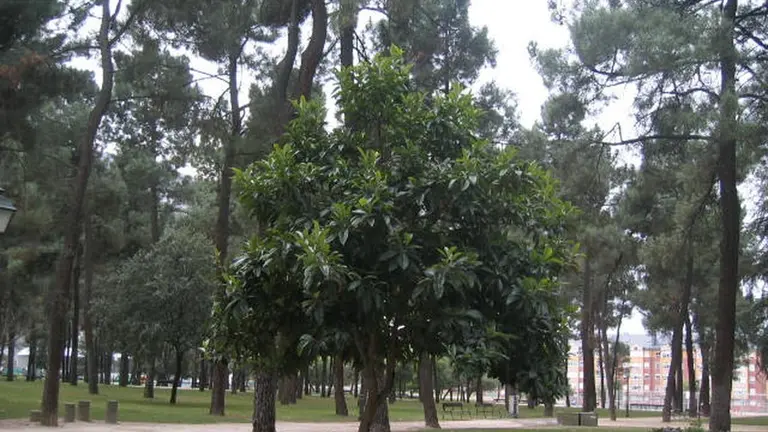 Parque del Temple, Ponferrada.