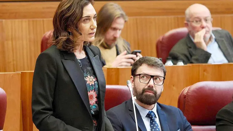 Alicia Gallego, durante su intervención en un pleno de las Cortes.