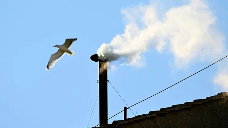 Una gaviota sobrevuela la chimenea con el humo blanco.