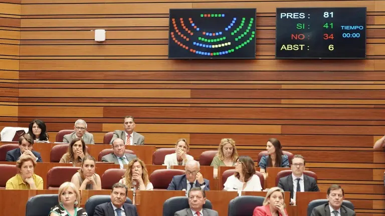 Pleno de las Cortes de Castilla y León.