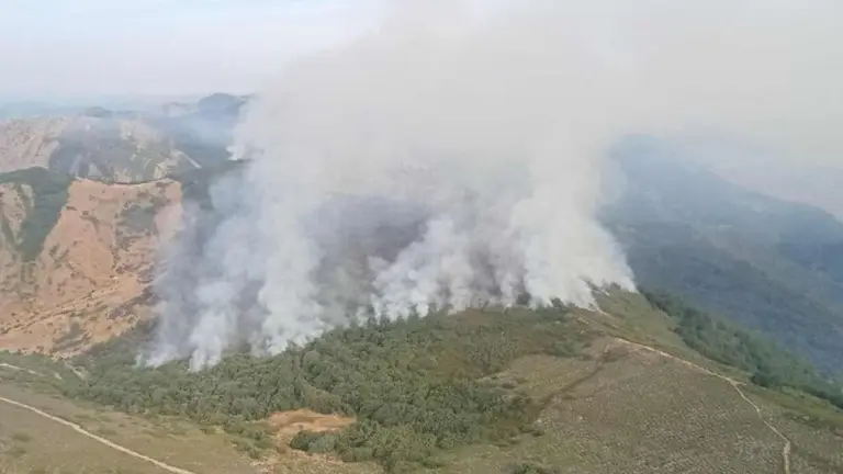 Imagen del incendio declarado en la localidad de Olleros de Alba.