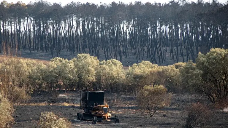 Efectos del incendio en la localidad leones de Herreros de Jamuz.