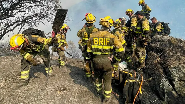 Brigadistas forestales, durante un operativo.