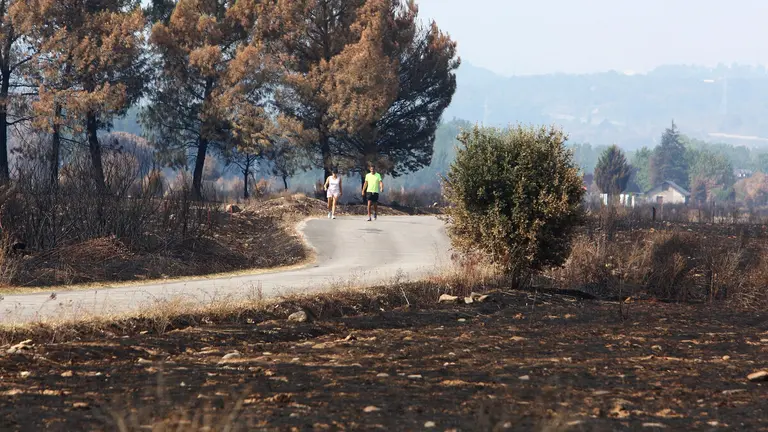 Efectos del incendio de Castropodame (León)