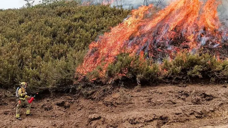 Un bombero forestal de la Comunidad de Madrid aplica fuego técnico para frenar el incendio de Igüeña en León. Foto: BBFFMadrid