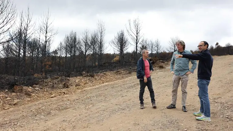 El secretario general del PSOE de Castilla y León, Carlos Martínez, visita La Alberca, una de las zonas afectadas por los incendios