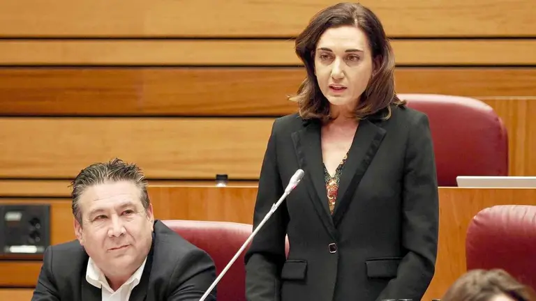 Alicia Gallero, durante su intervención en el pleno de las Cortes.
