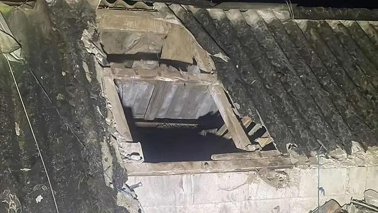 Imagen de los daños en una de las explotaciones. Foto Laciana Digital
